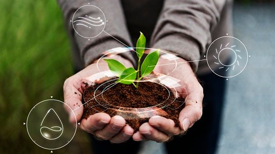 imagem de uma pessoa segurando terra com uma planta no meio